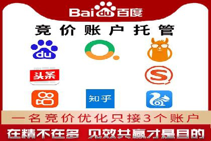 某行业巨头背后的SEM代运营托管公司